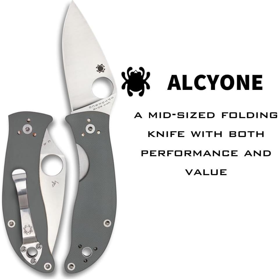 Cuchillo Plegable Spyderco Alcyone 7.39 cm Acero Inoxidable