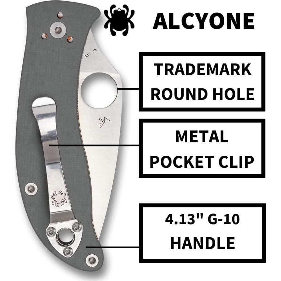 Cuchillo Plegable Spyderco Alcyone 7.39 cm Acero Inoxidable
