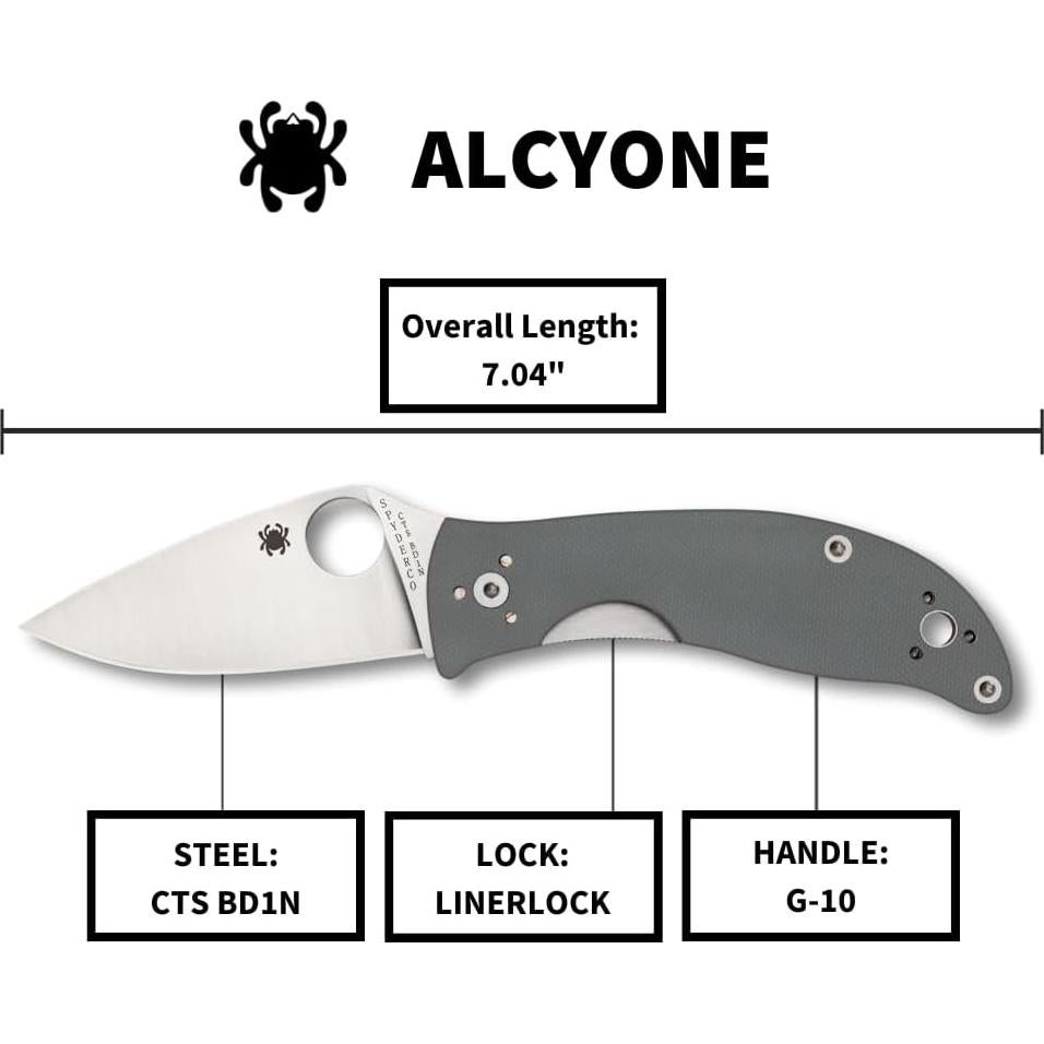 Cuchillo Plegable Spyderco Alcyone 7.39 cm Acero Inoxidable