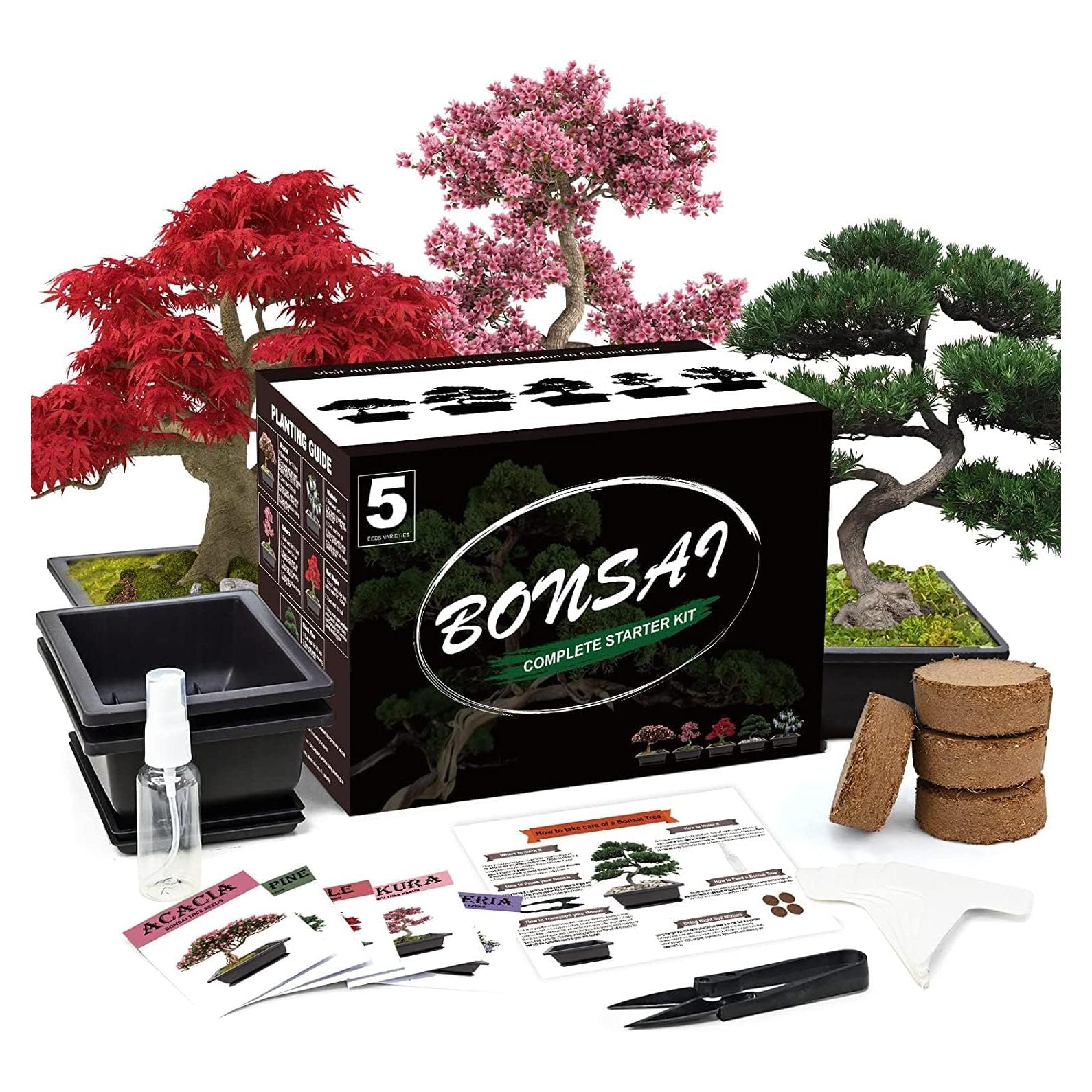 Kit de Cultivo de Bonsai Meekear - 5 Herramientas y Macetas