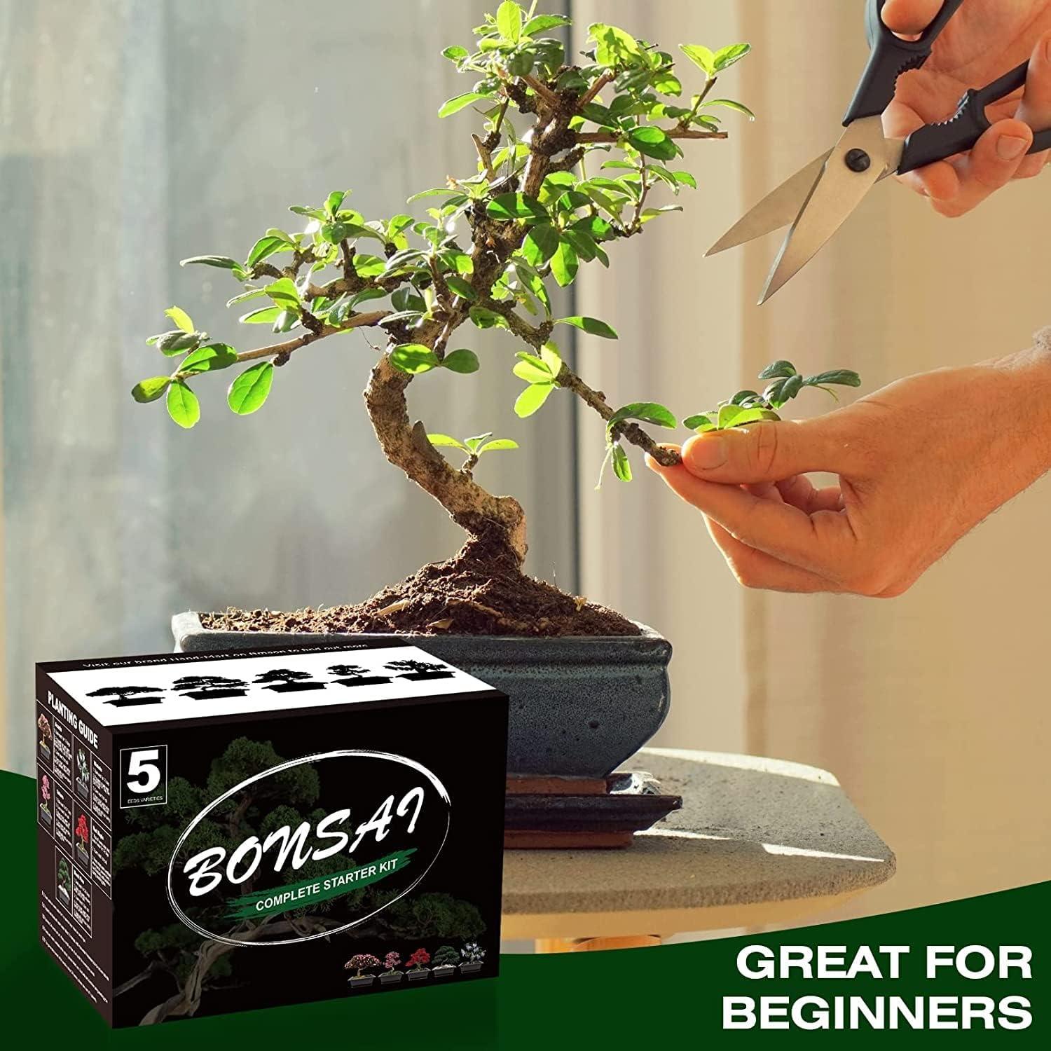 Kit de Cultivo de Bonsai Meekear - 5 Herramientas y Macetas