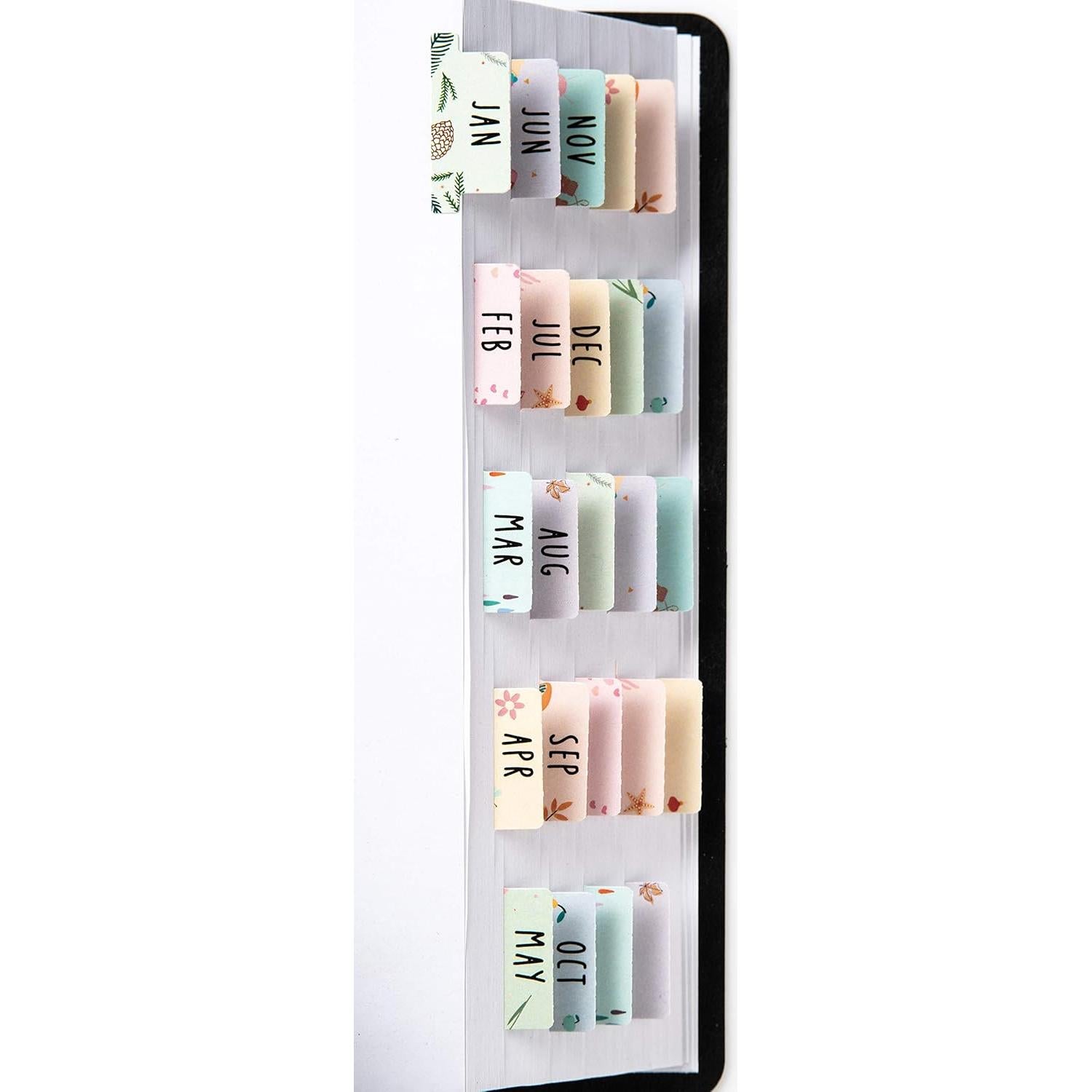 Planificador Laminado DiverseBee Mediano con 24 Pestañas