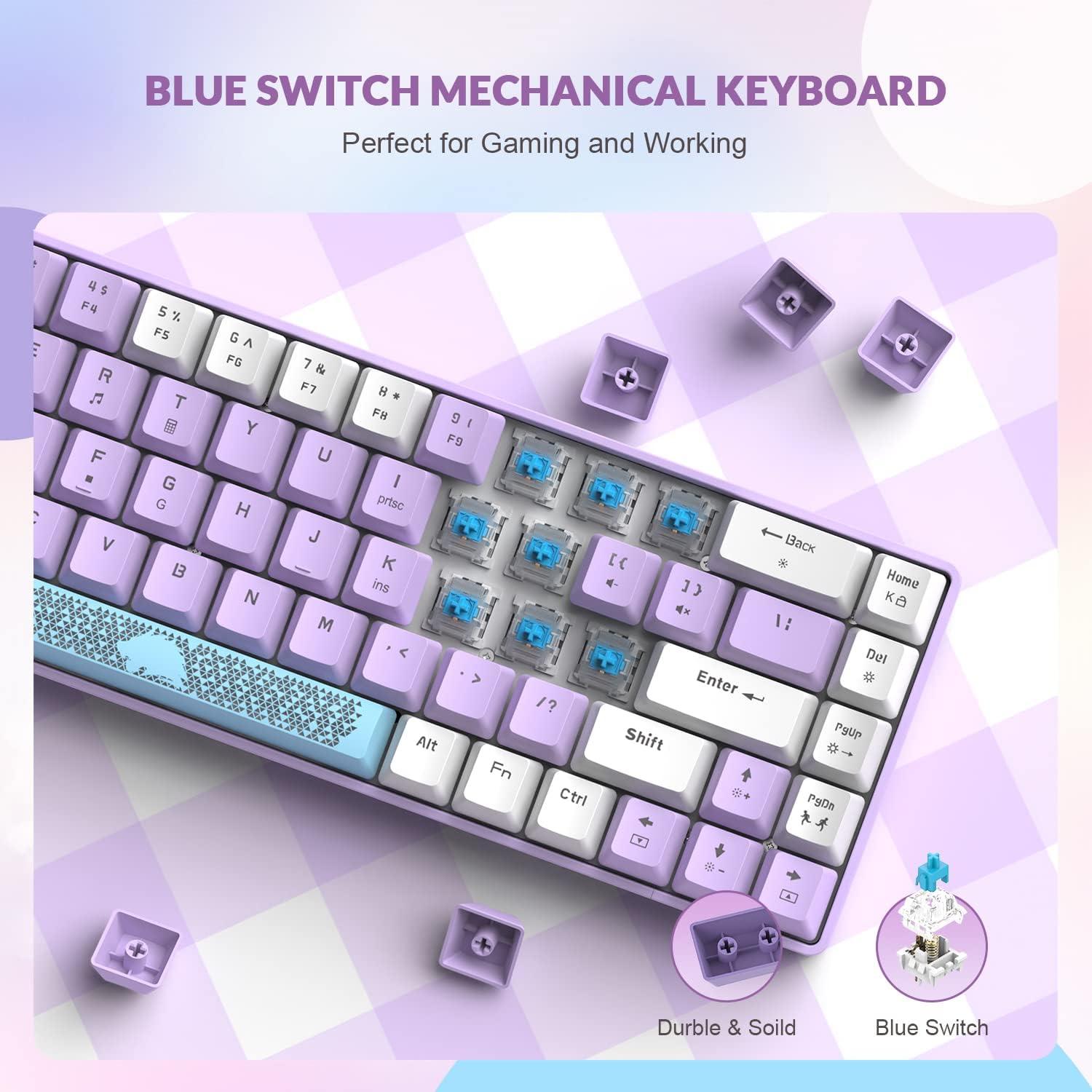Teclado Mecánico ZIYOU LANG RK-T8 65% RGB Anti-ghosting