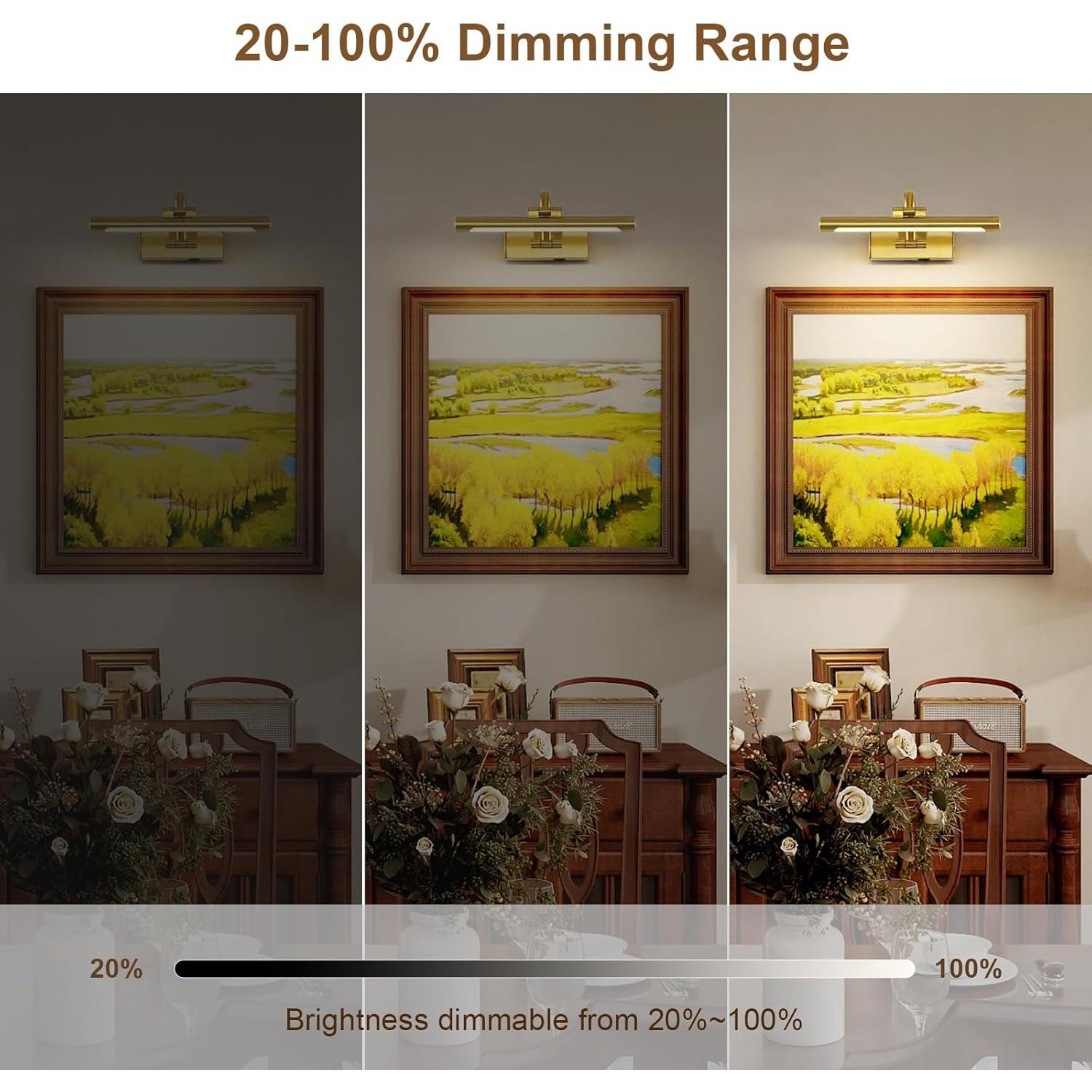 Luz de Imagen Inalámbrica Recargable DESOOP 30.48 cm Bronce