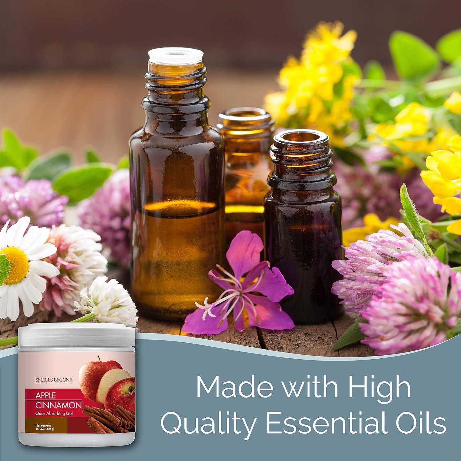 Gel Absorbente de Olores SMELLS BEGONE - 850 g, Paquete de 2 - Aroma Manzana y Canela