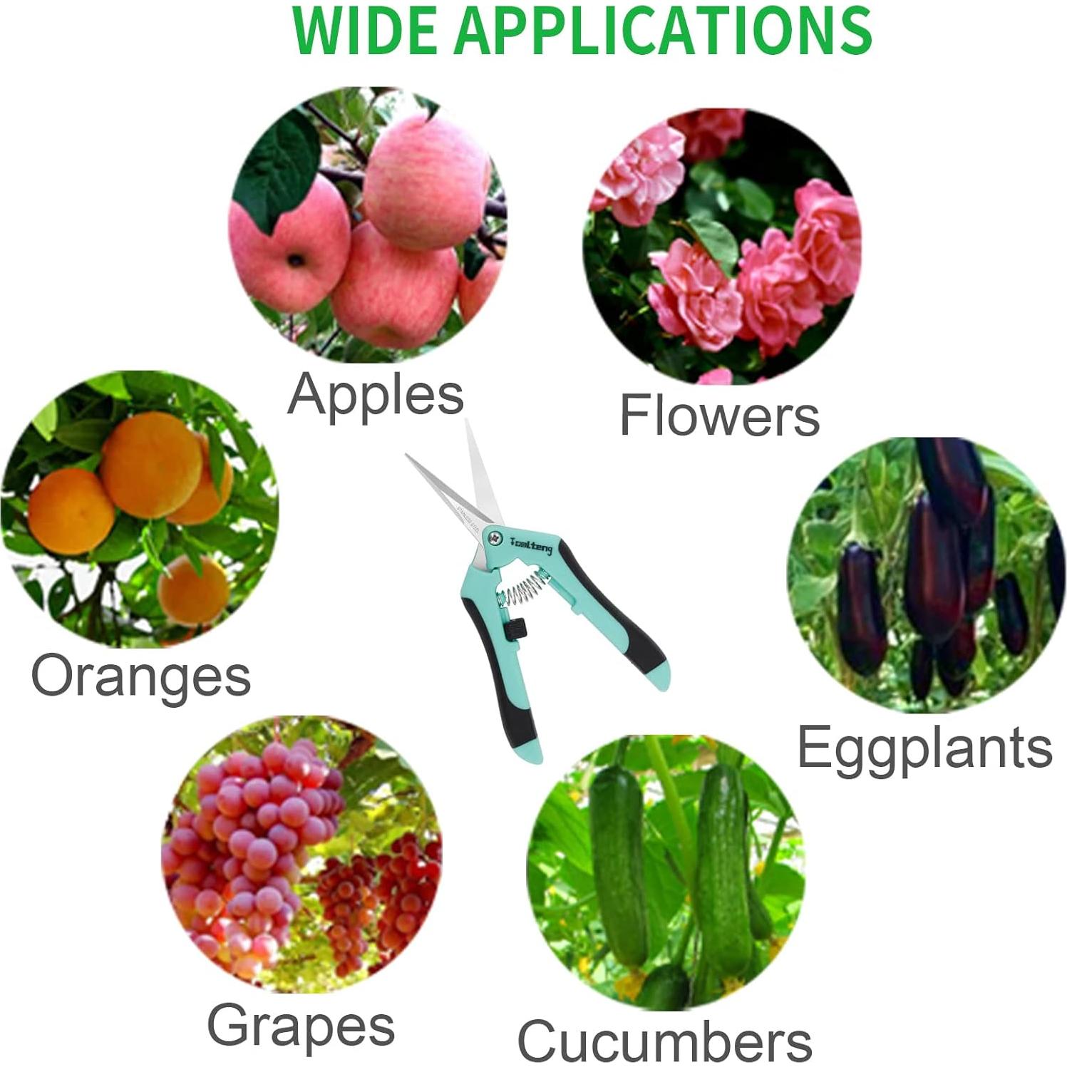 3 Tijeras de Podar TOOLTENG Azul, Cuchilla Recta, Ergonomía