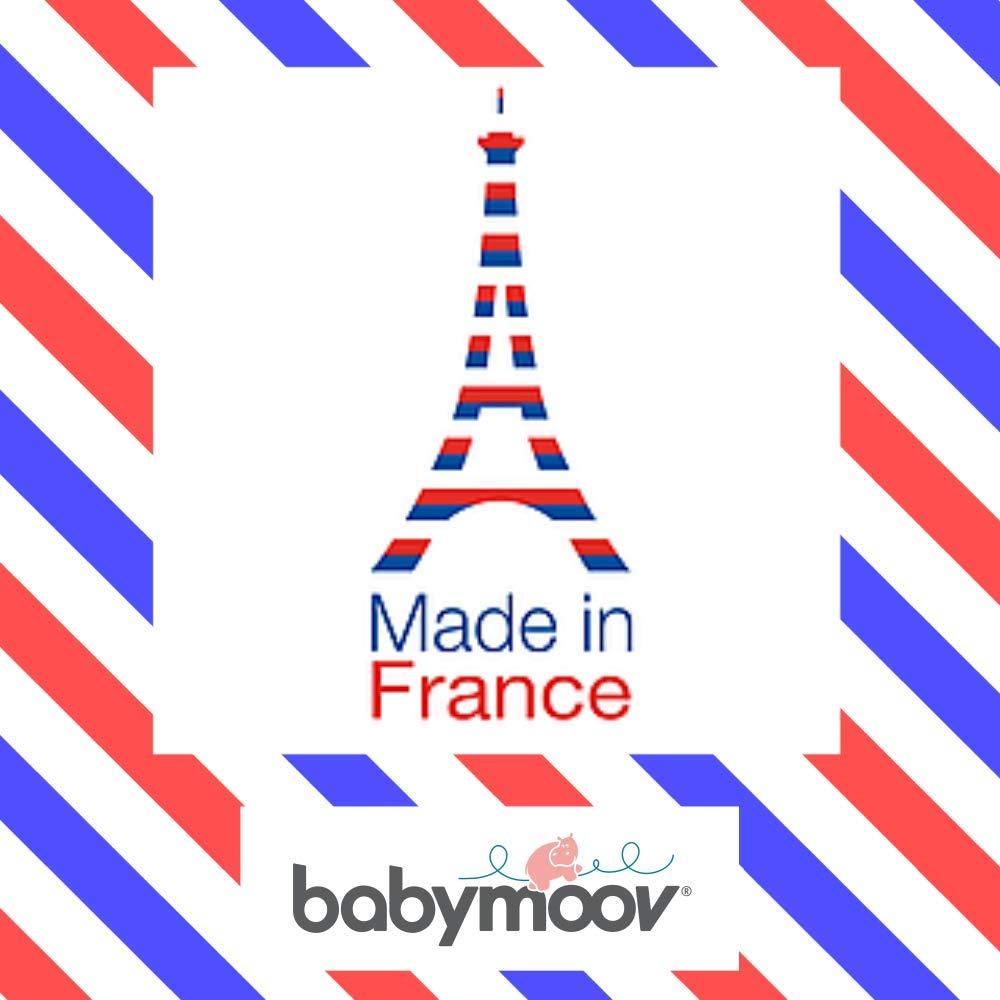 Juego de tarros de comida para bebé Babymoov 24 piezas sin BPA