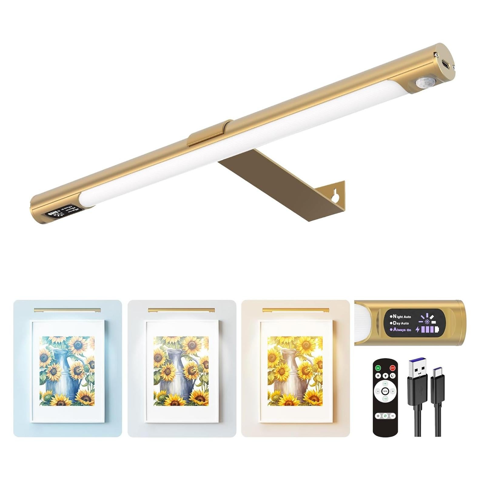 Luz de Imagen Inalámbrica COLIJOY C761 35.56cm con Control Remoto