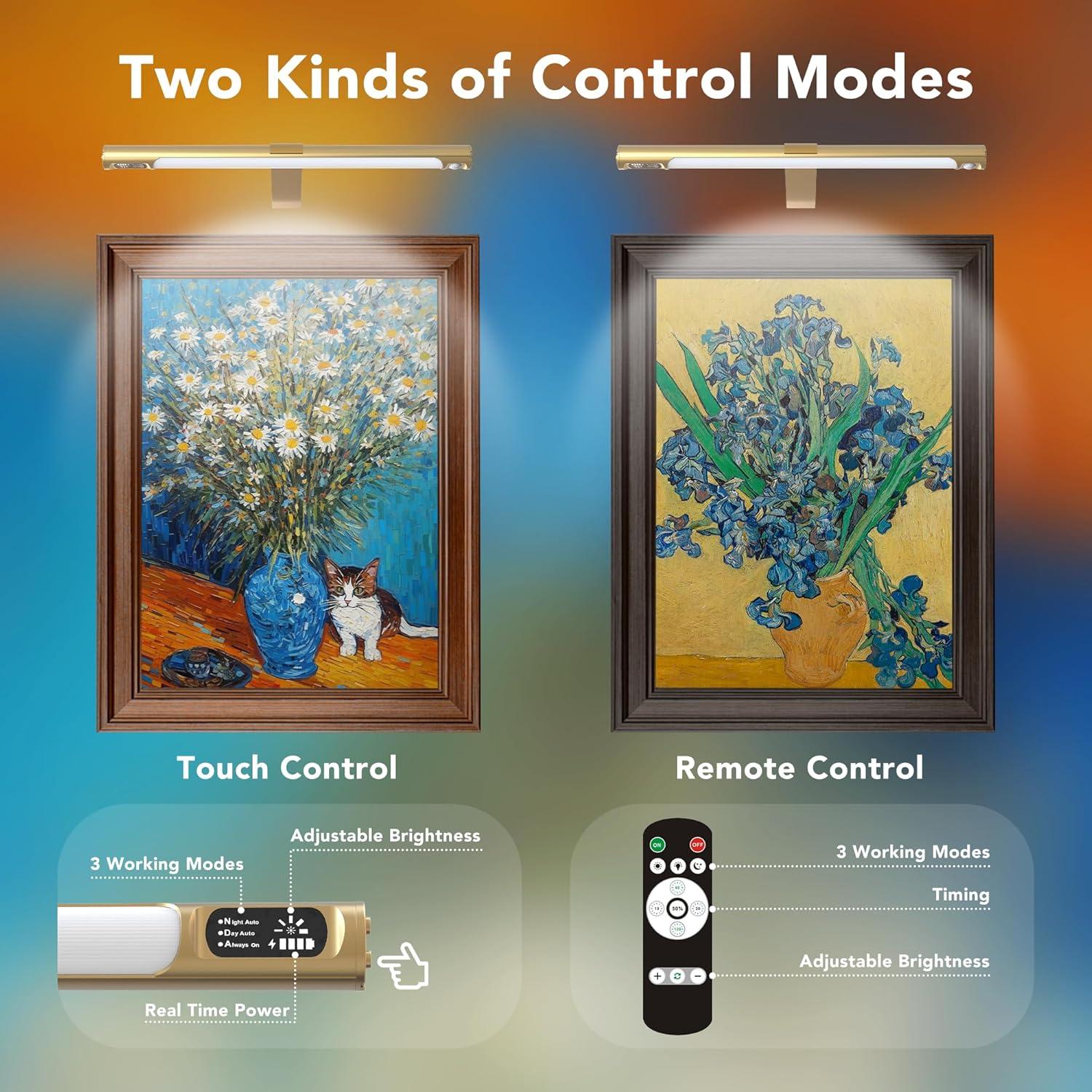 Luz de Imagen Inalámbrica COLIJOY C761 35.56cm con Control Remoto