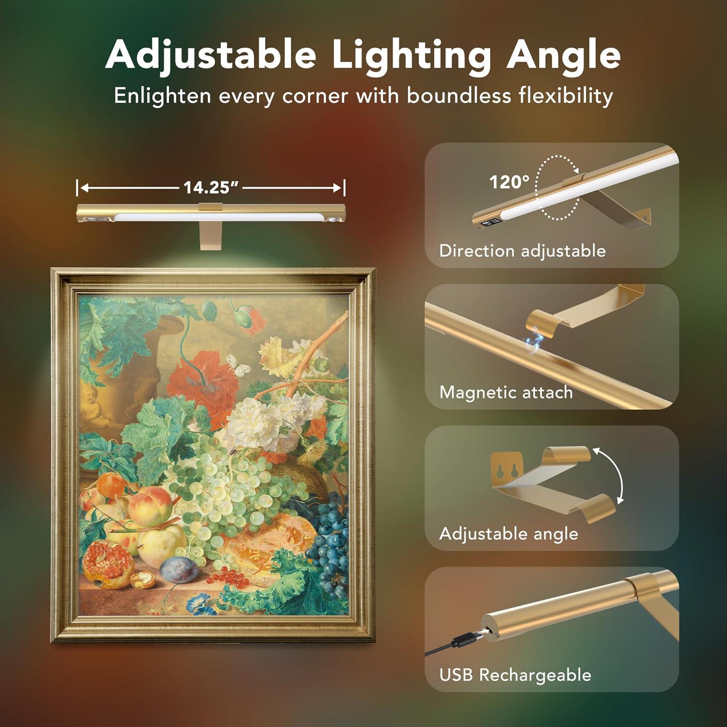 Luz de Imagen Inalámbrica COLIJOY C761 35.56cm con Control Remoto