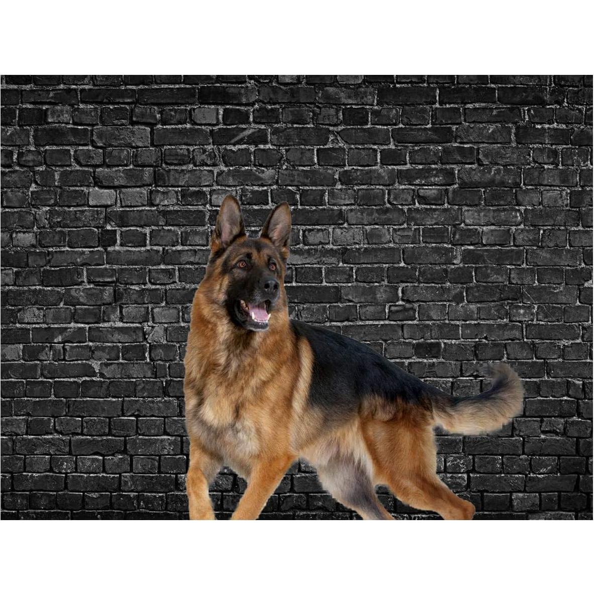 Fondo de Fotografía Vinilo AIIKES Ladrillo Negro 1.8x1.2m