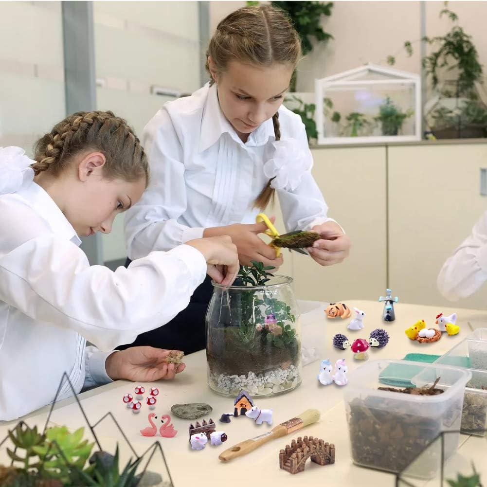 Kit de Miniaturas de Jardín de Hadas Dracarys 100 Piezas