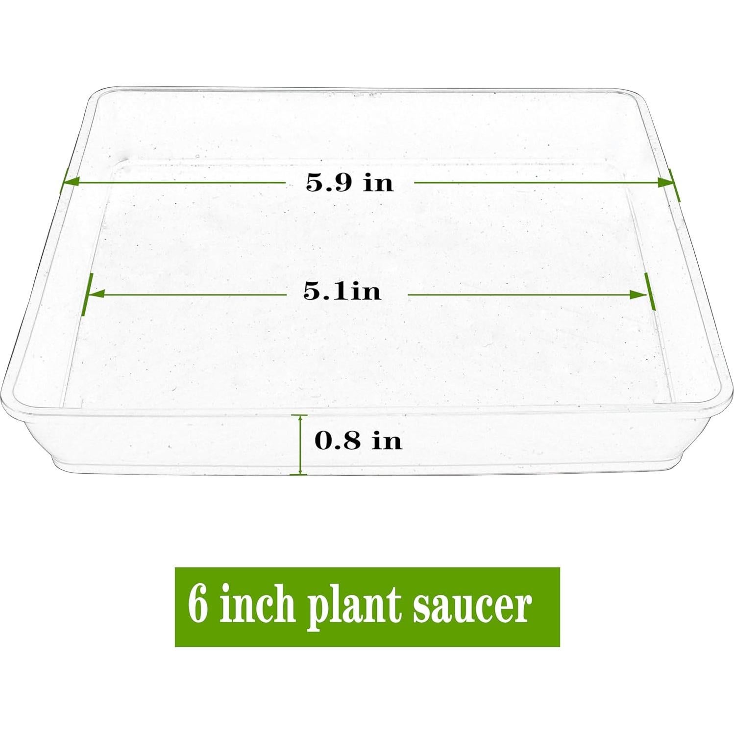 Plato Cuadrado para Plantas 6" Negro - 5 Paquete de Plástico