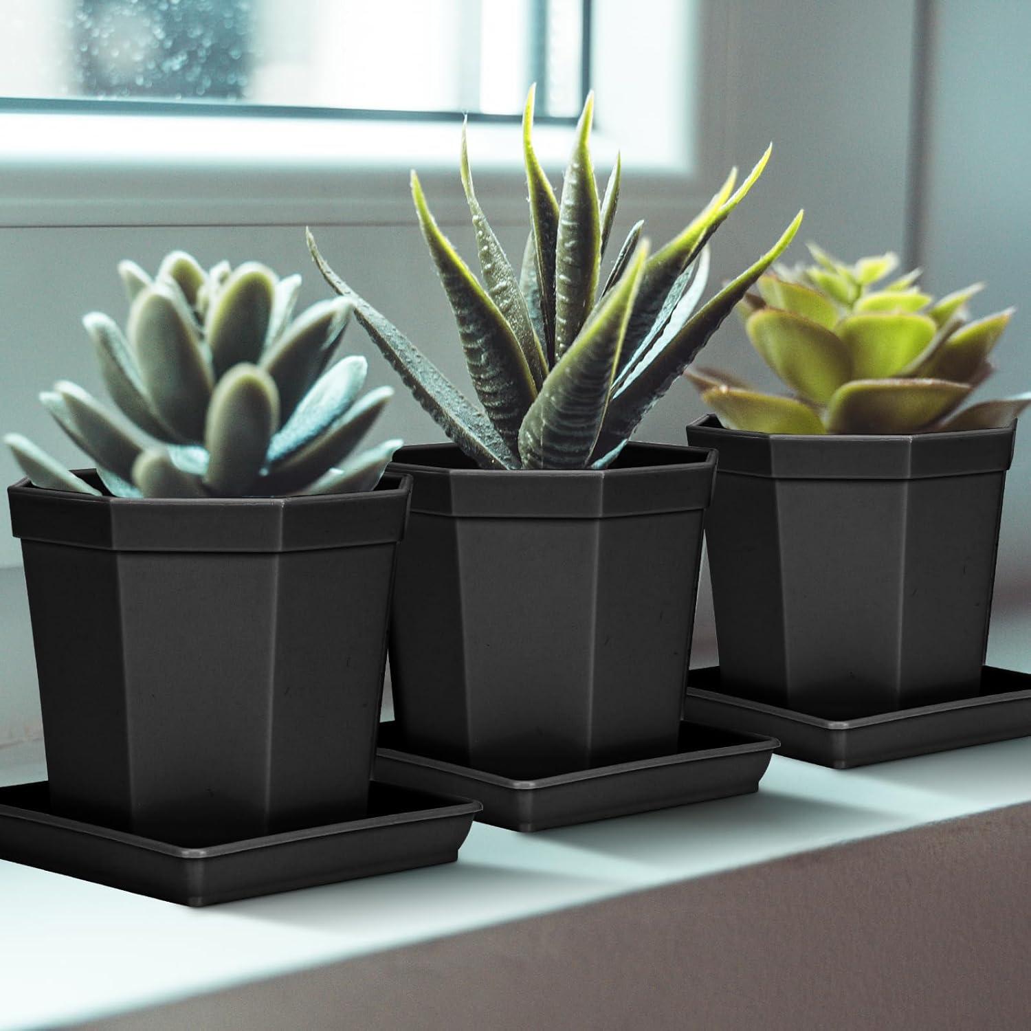 Plato Cuadrado para Plantas 6" Negro - 5 Paquete de Plástico