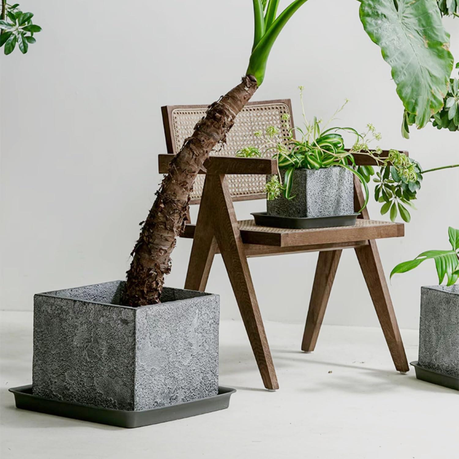 Plato Cuadrado para Plantas 6" Negro - 5 Paquete de Plástico