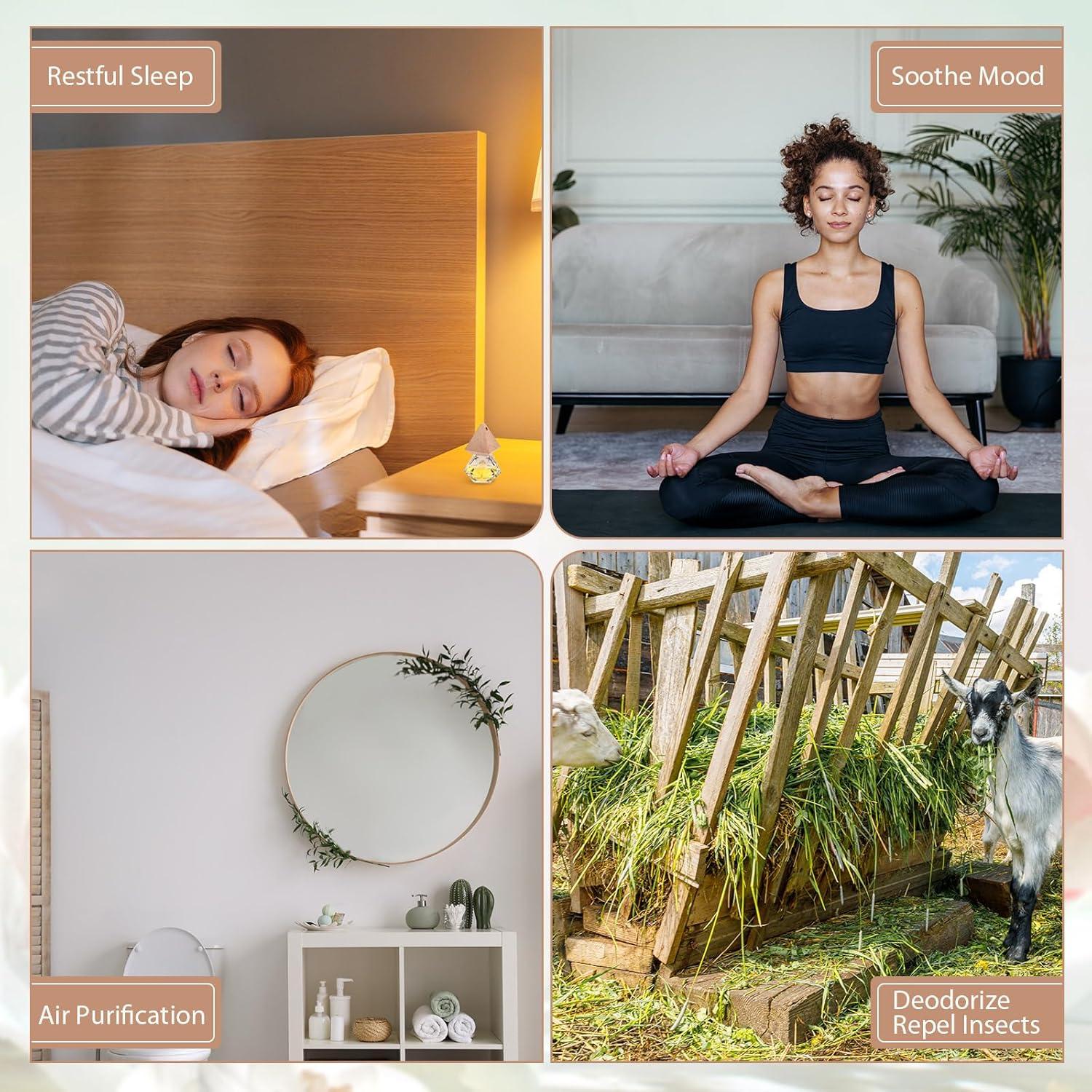 50 Botellas de Vidrio Difusor de Perfume Demissle - Ambientador Coche