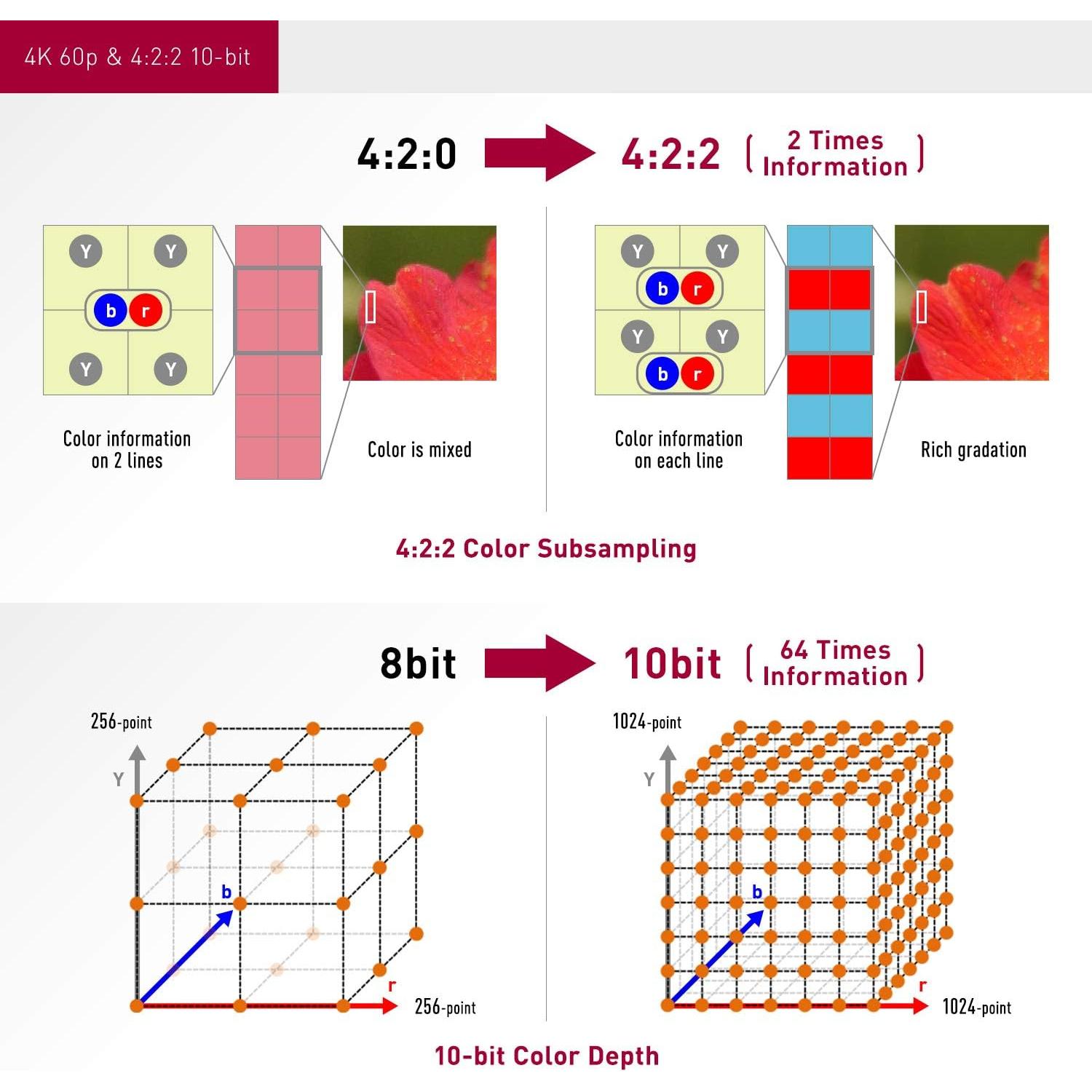 Cámara Profesional 4K Panasonic HC-X1500 con Zoom 24X