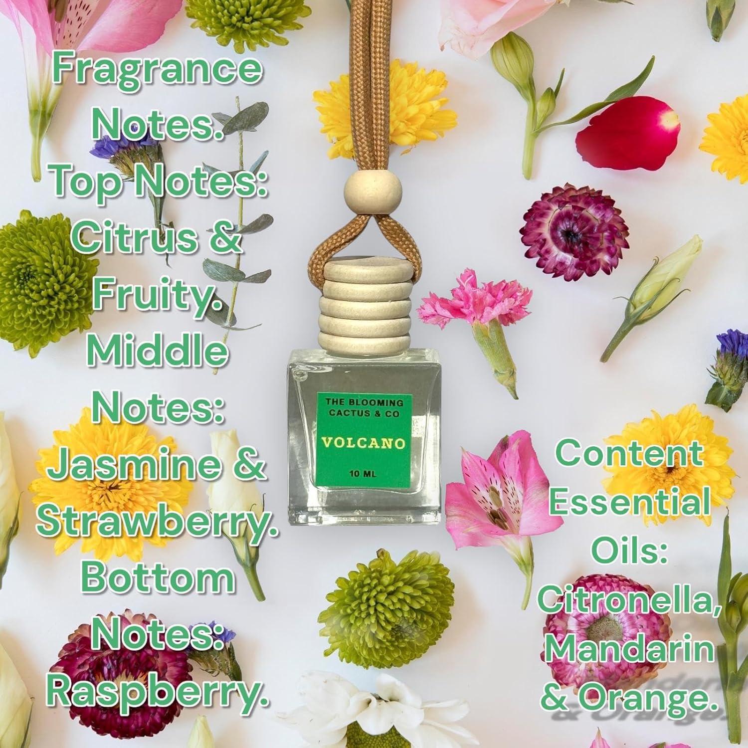 Ambientadores de coche The Blooming Cactus 8 ml Hechos a Mano