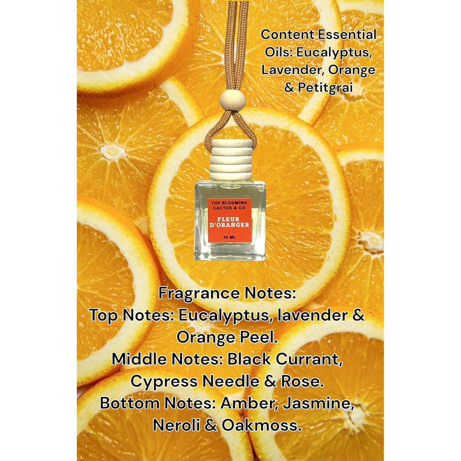 Ambientadores de coche The Blooming Cactus 8 ml Hechos a Mano