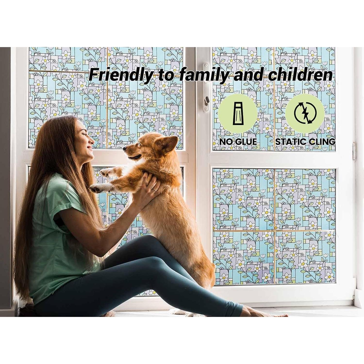 Película de Privacidad VSUDO 30x200 cm Flor Frangipani