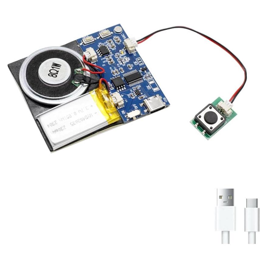 Módulo de Sonido XLW 16MB con Altavoz y Grabación 16 Min