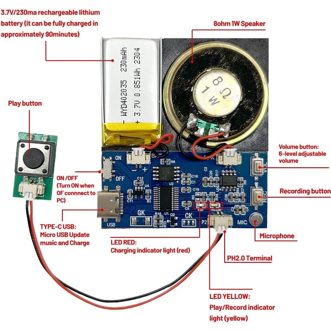 Módulo de Sonido XLW 16MB con Altavoz y Grabación 16 Min