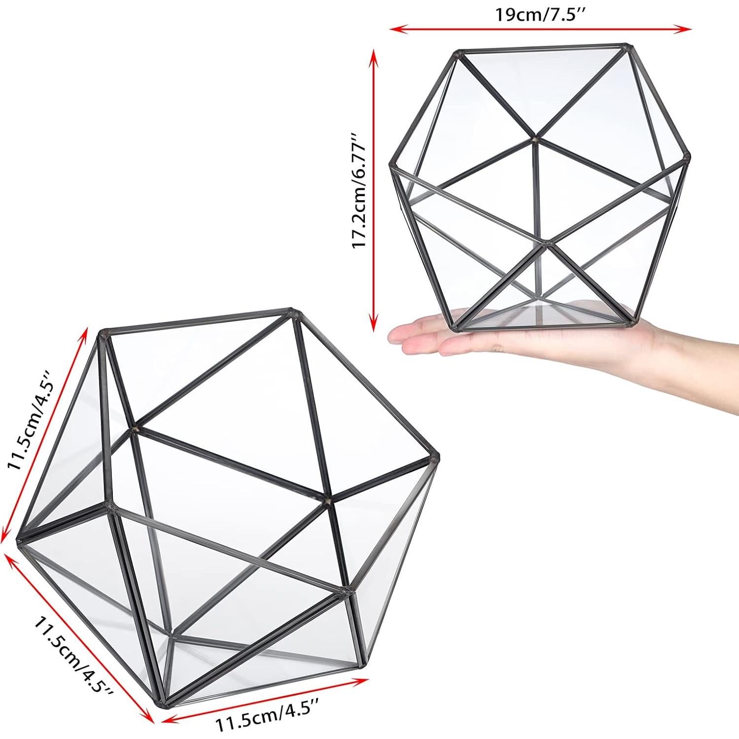 Soporte de Cápsulas de Café ELLDOO de Vidrio Negro 21x18x18 cm