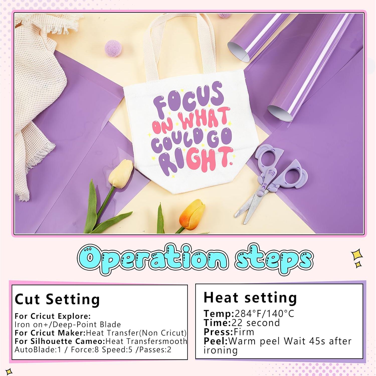 Vinilo de Transferencia de Calor Tintnut Violeta Africano 6 Hojas 30.48x25.4cm