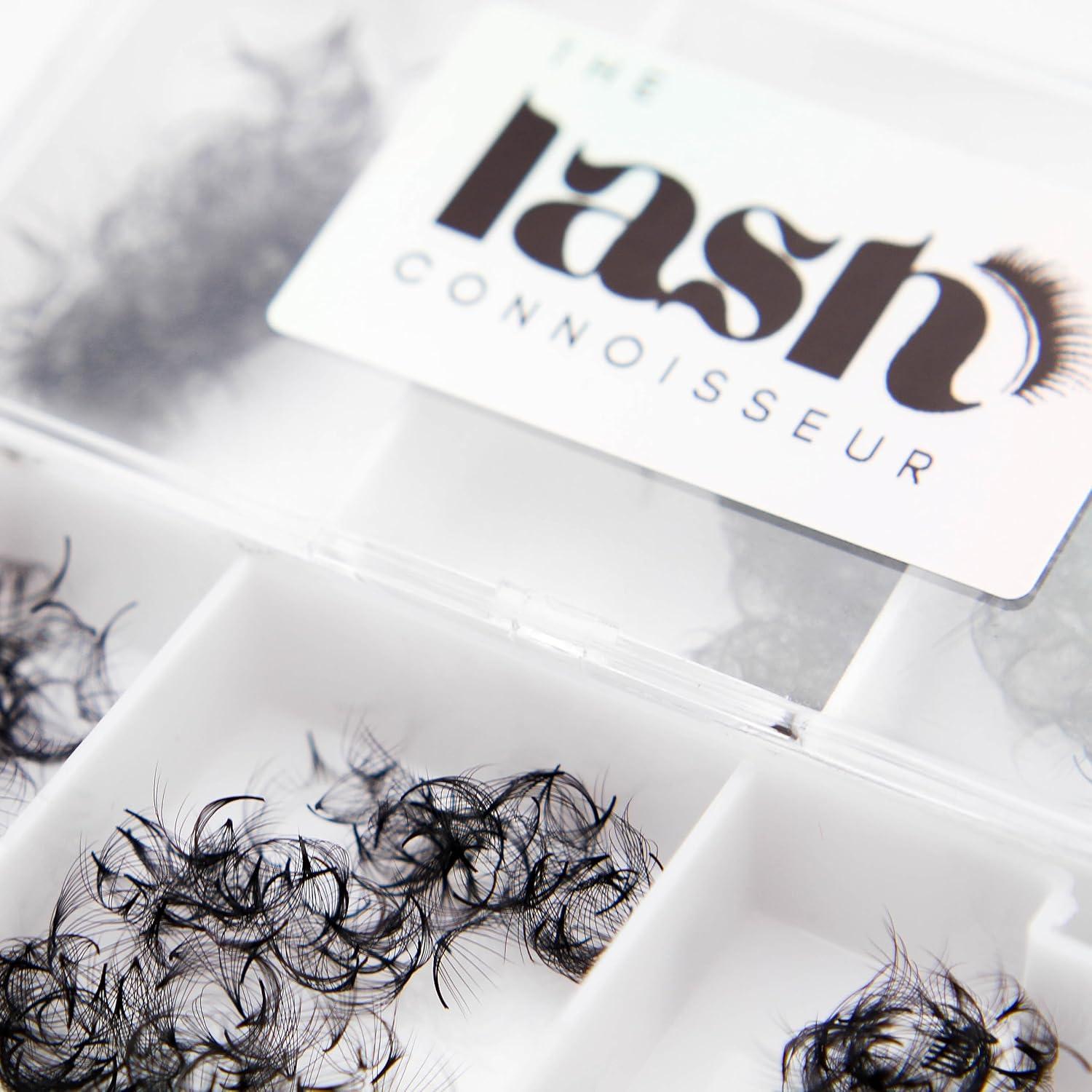 Extensiones de Pestañas Premade 10D C Curl 750 Fans TLC 9-11 mm