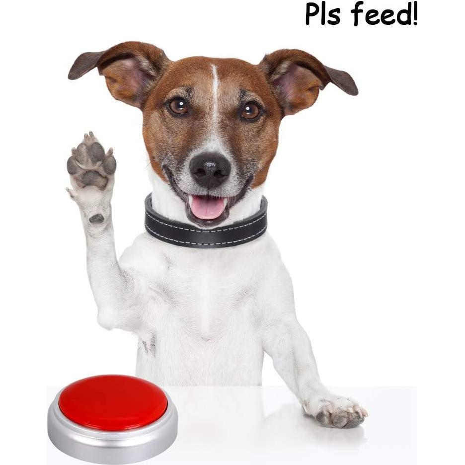 Botón Grabador de Sonido 30 Segundos Cover RM5-WR Rojo Plata