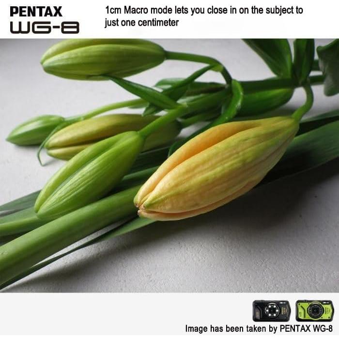 Cámara de Aventura PENTAX WG-8 Negra Impermeable 20MP 4K