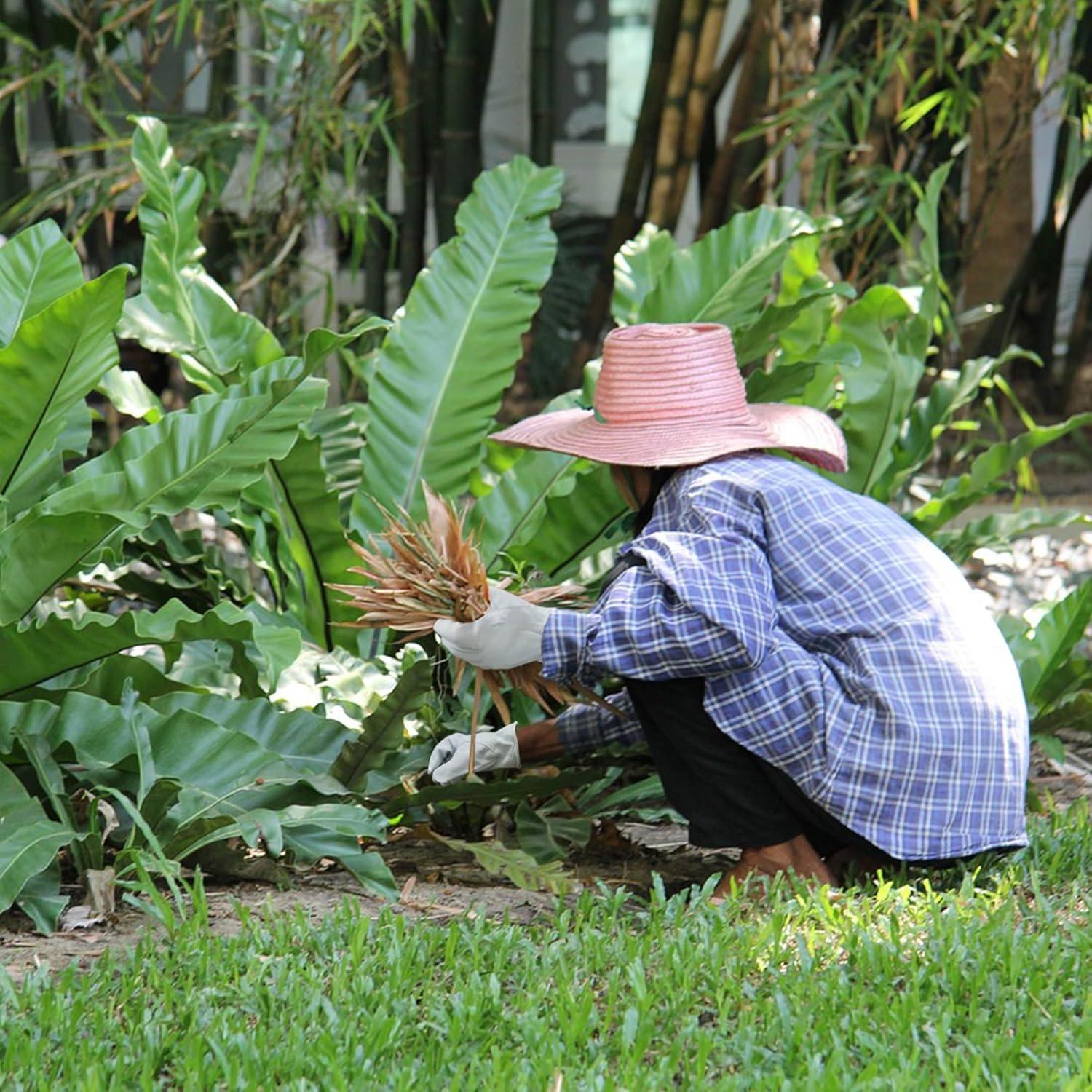 Guante de Conductor Intra-FIT de Cuero de Cabra Grande
