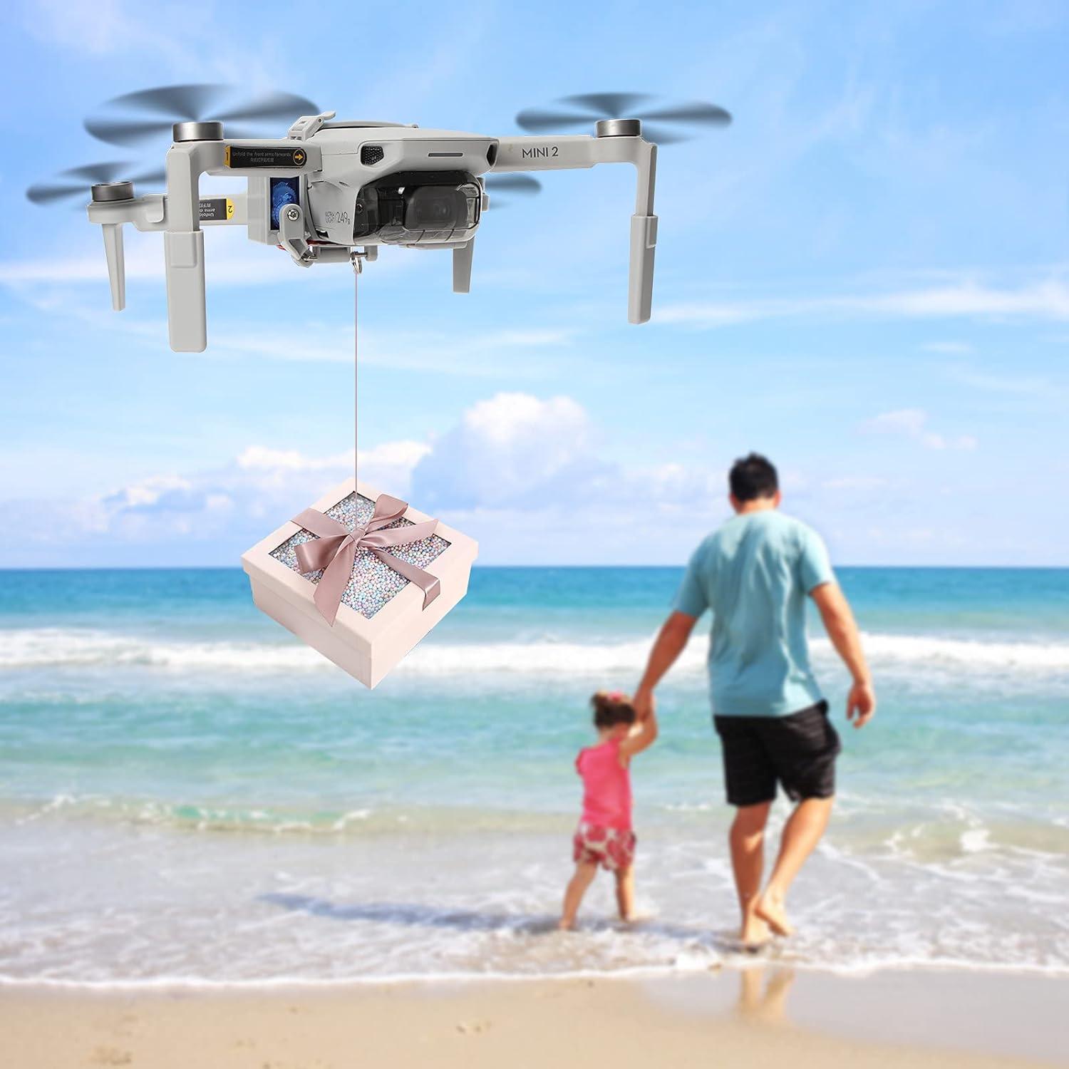 Dispositivo de entrega de carga BEHORSE Mini 2 100m 0.1kg