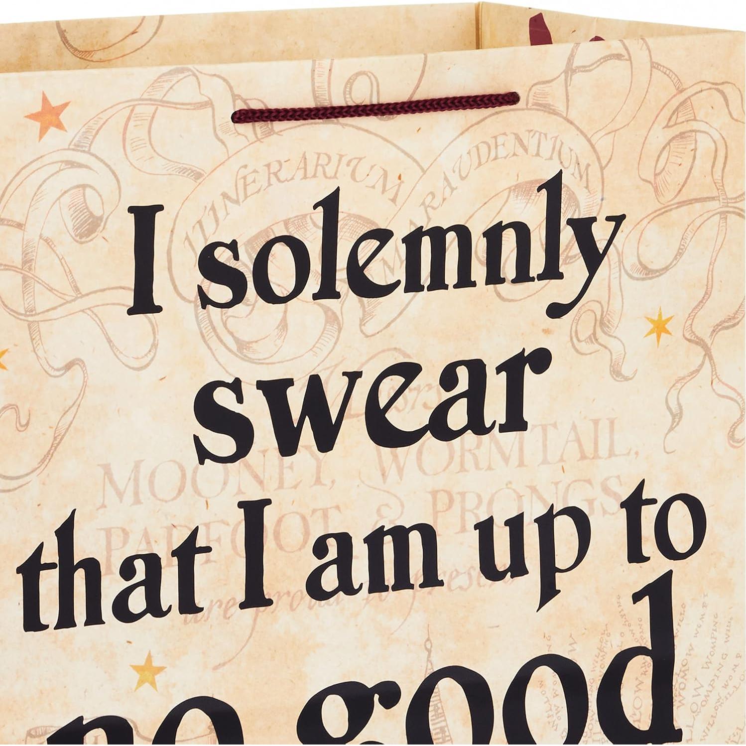 Bolsa de Regalo Grande Hallmark Harry Potter - 3 Diseños