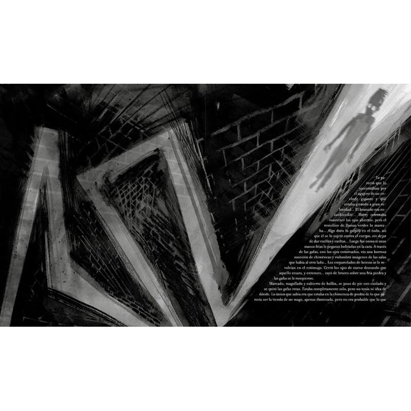 Harry Potter y la cámara secreta (Harry Potter [edición ilustrada] 2)