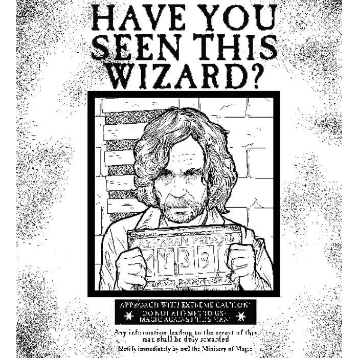 HARRY POTTER LIBRO OFICIAL PARA COLOREAR