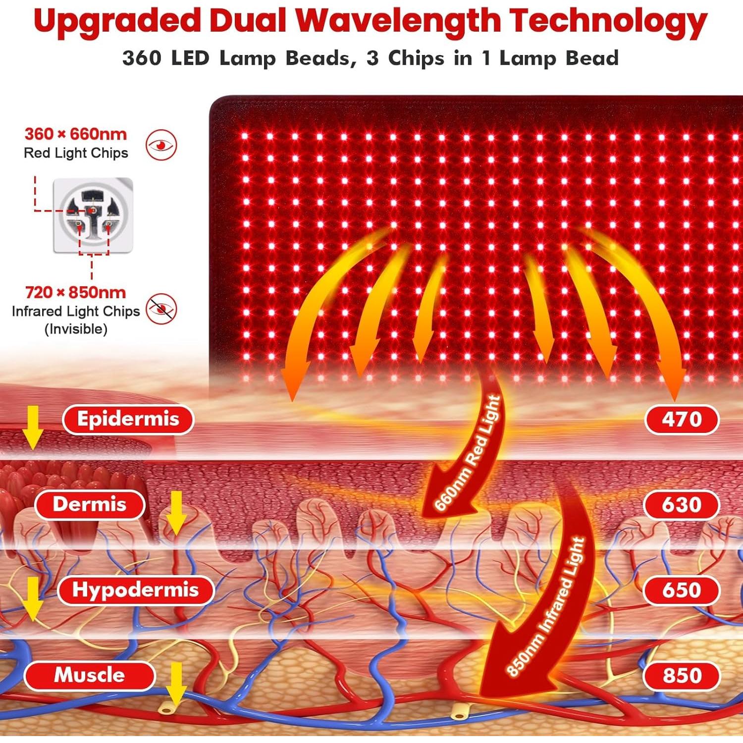 Cinturón de Terapia de Luz Roja GarveeHome 80x30cm 360 LEDs