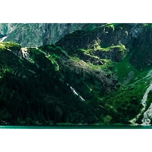 Lienzo Acústico Artgeist 100x50 cm 5 Piezas Naturaleza