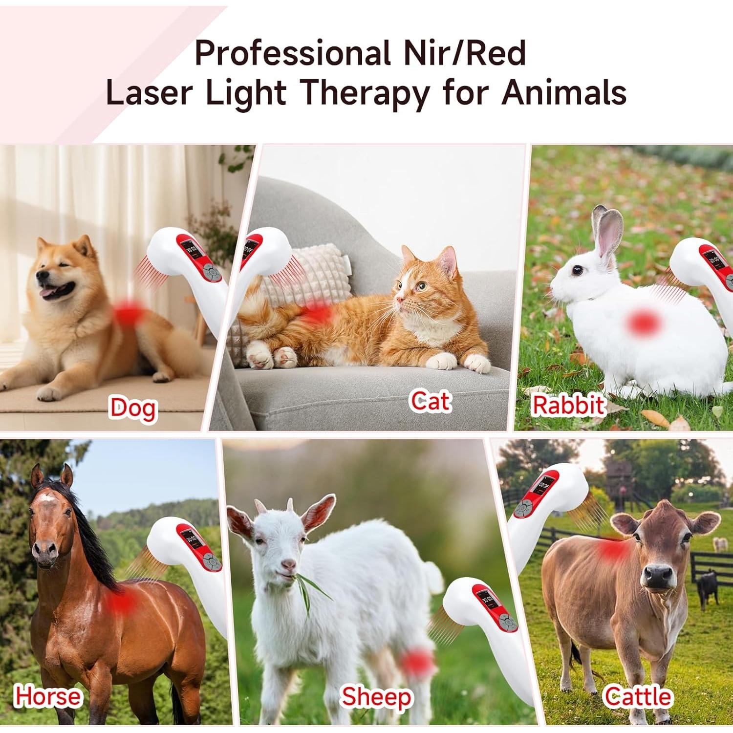 Máquina de Terapia Láser Frío Azilaser 5000mAh para Perros