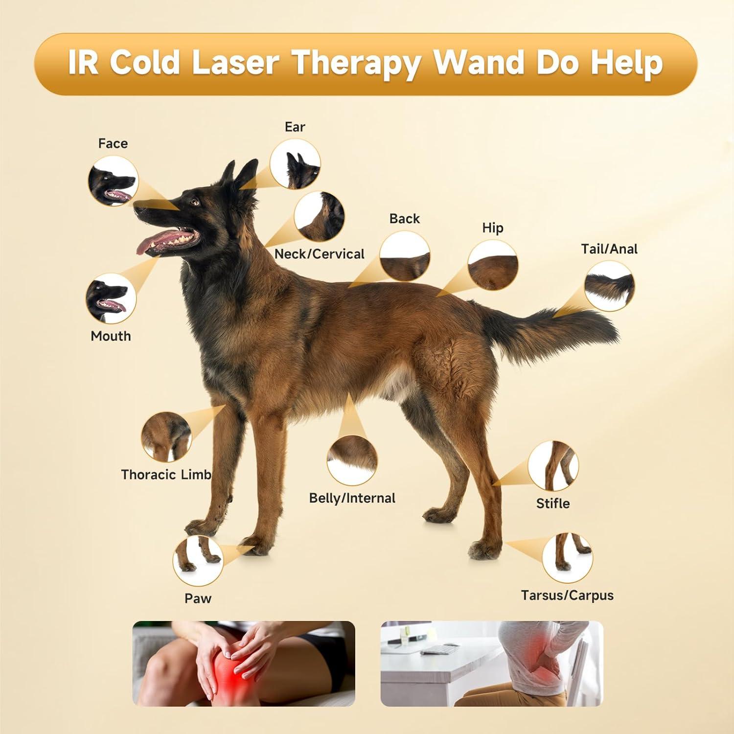 Máquina de Terapia Láser Frío Azilaser 5000mAh para Perros