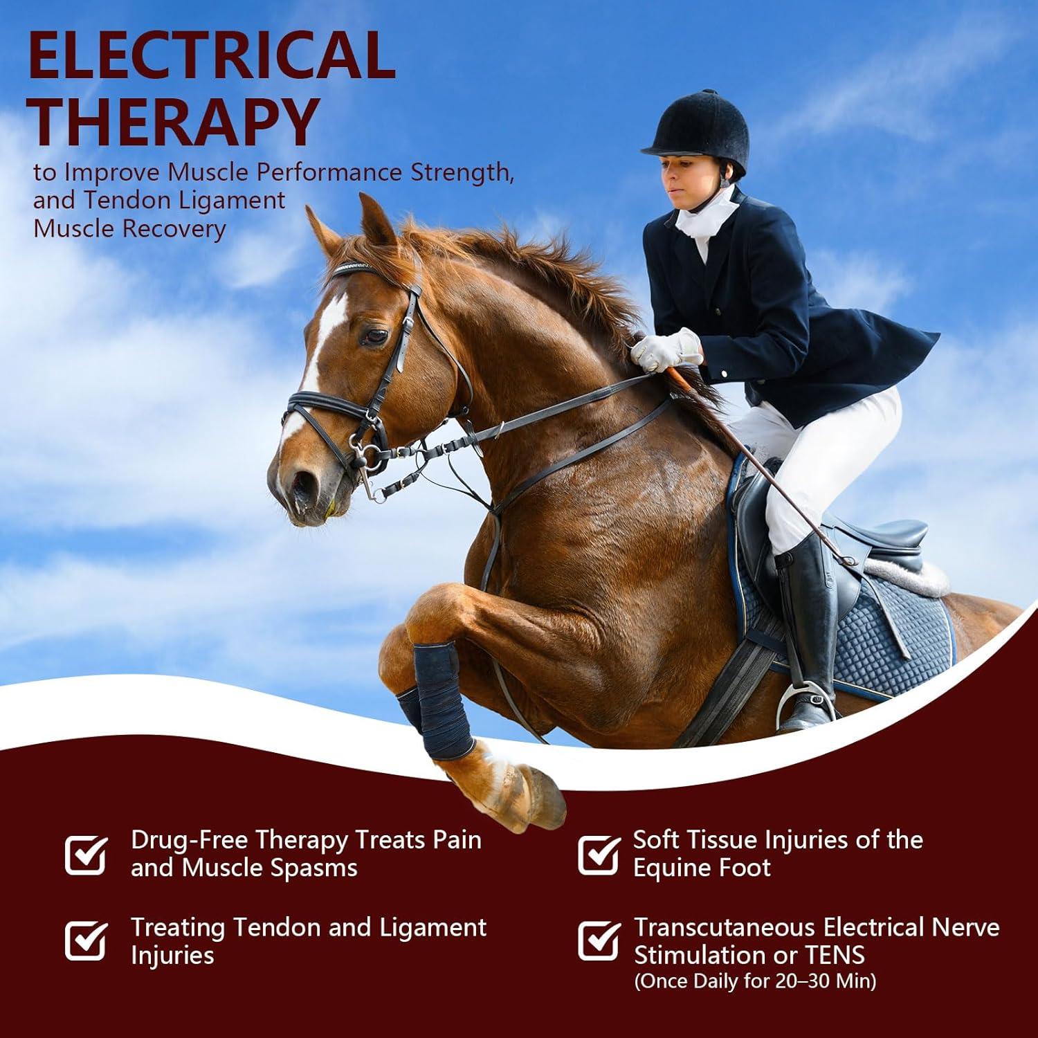 Terapia Lásers Frío PUPCA para Caballos 808nm y 650nm