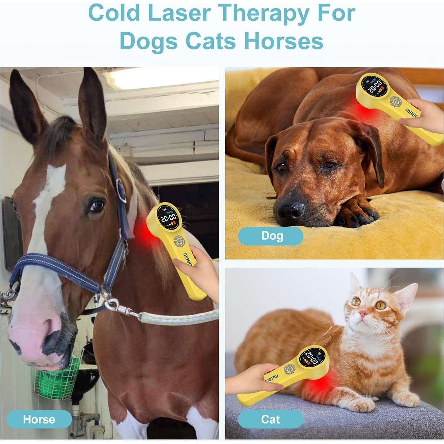 Dispositivo de Terapia Láser Frío MBBQNN para Mascotas 660nm 810nm 980nm