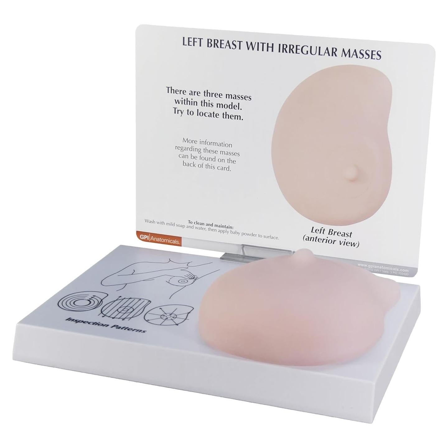Modelo de Anatomía Humana de Mama Izquierda GPI Anatomicals