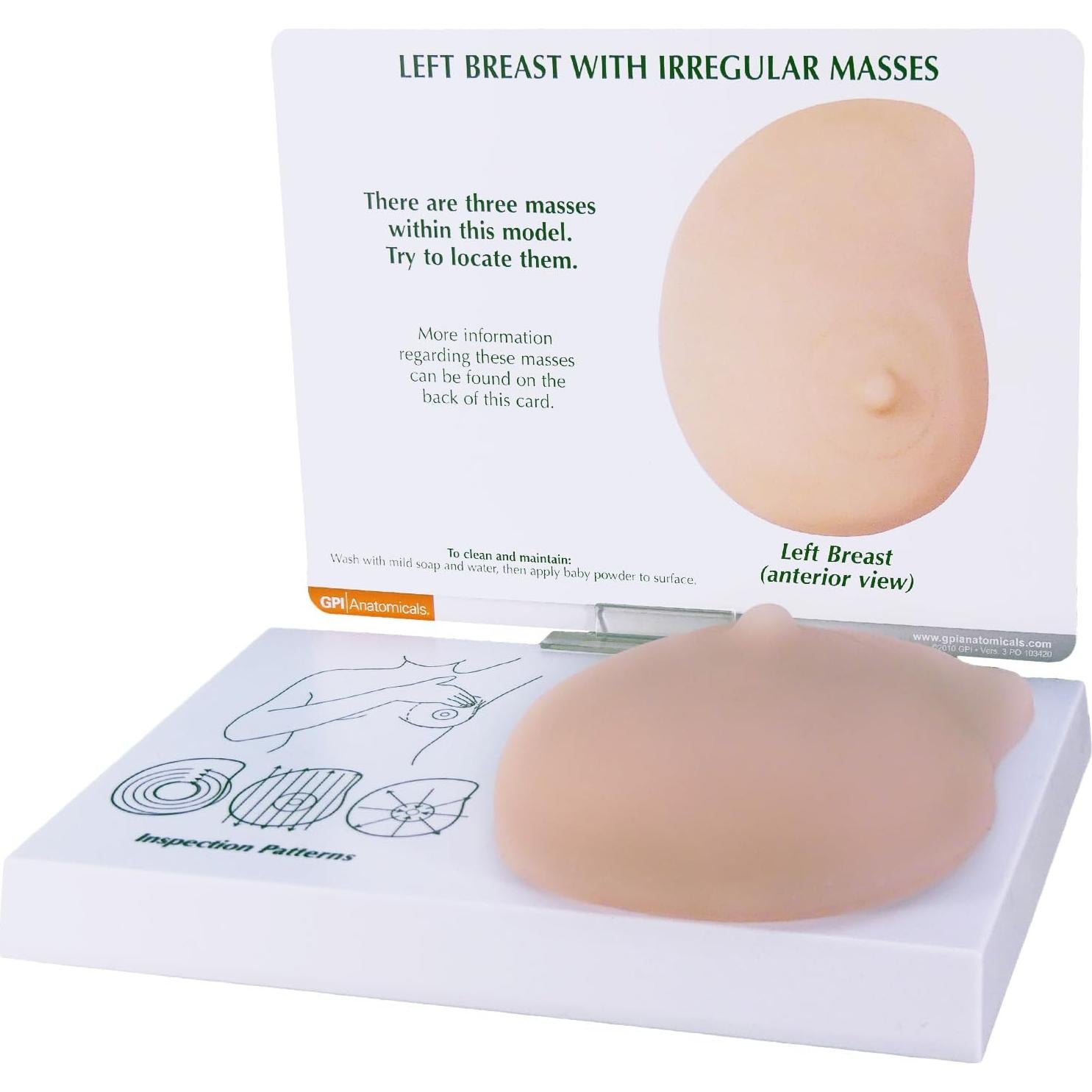 Modelo de Anatomía Humana de Mama Izquierda GPI Anatomicals