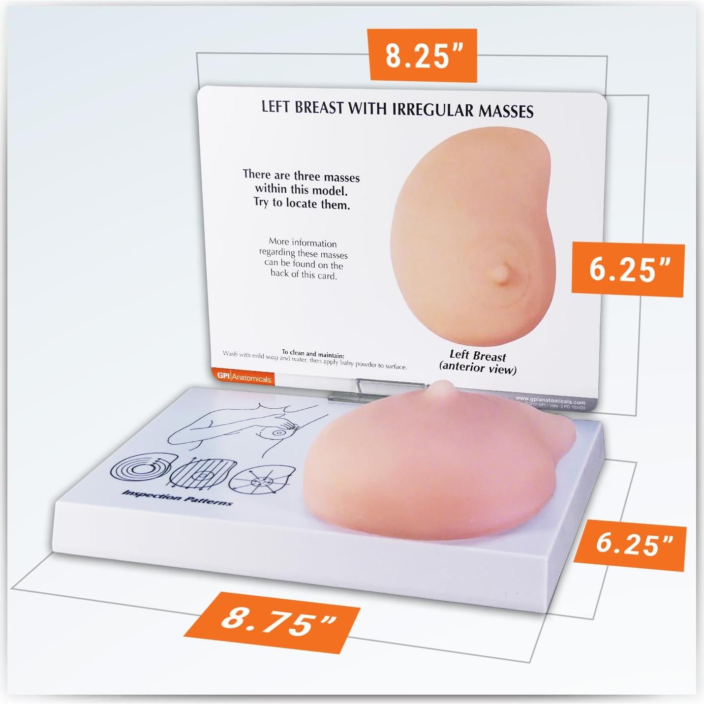 Modelo de Anatomía Humana de Mama Izquierda GPI Anatomicals