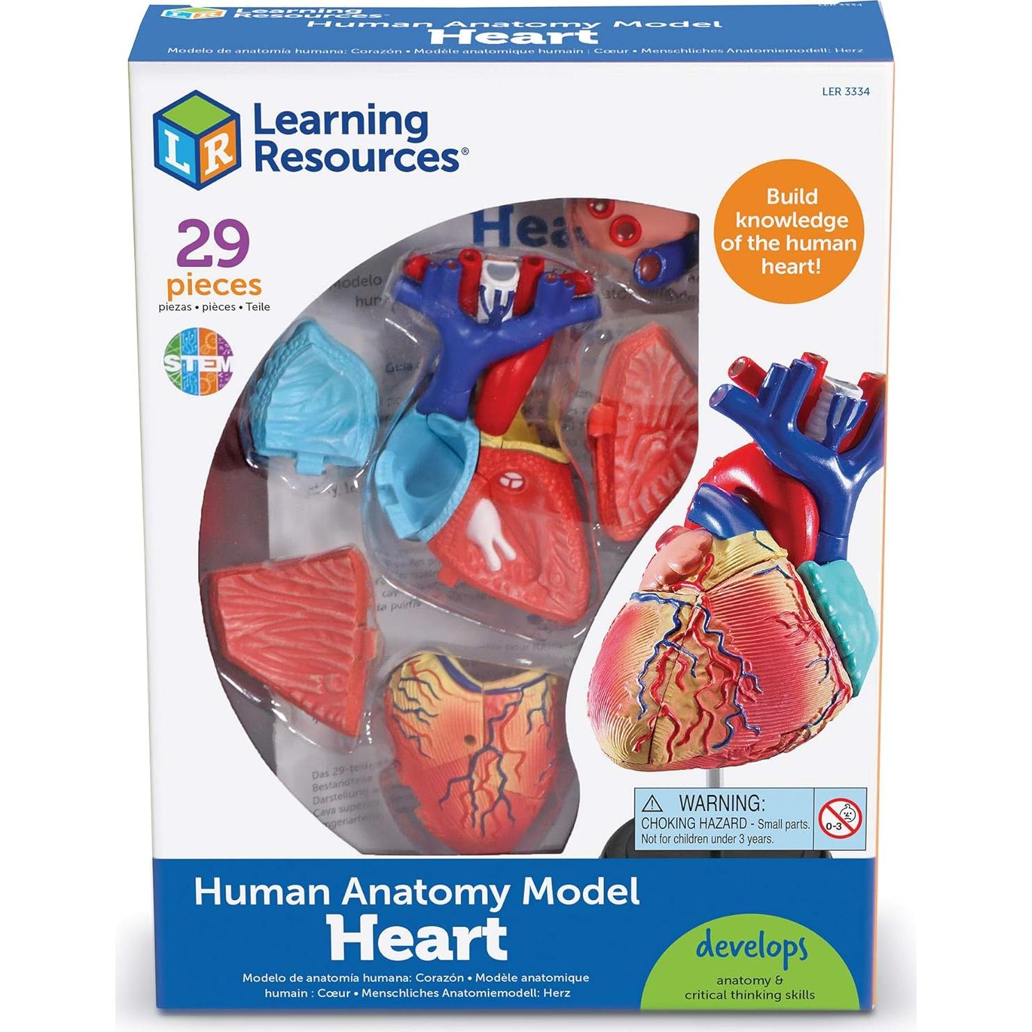 Modelo de Corazón Humano Learning Resources 29 Piezas 12.7cm