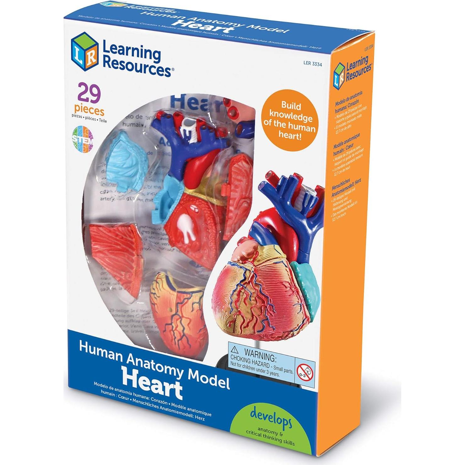 Modelo de Corazón Humano Learning Resources 29 Piezas 12.7cm
