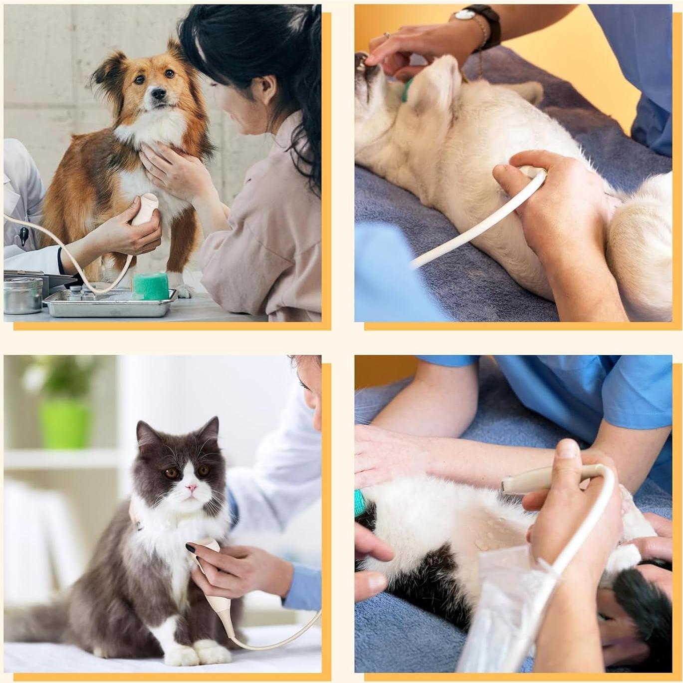 Escáner veterinario portátil DVK Sonda Convexa Micro 5.6" LED