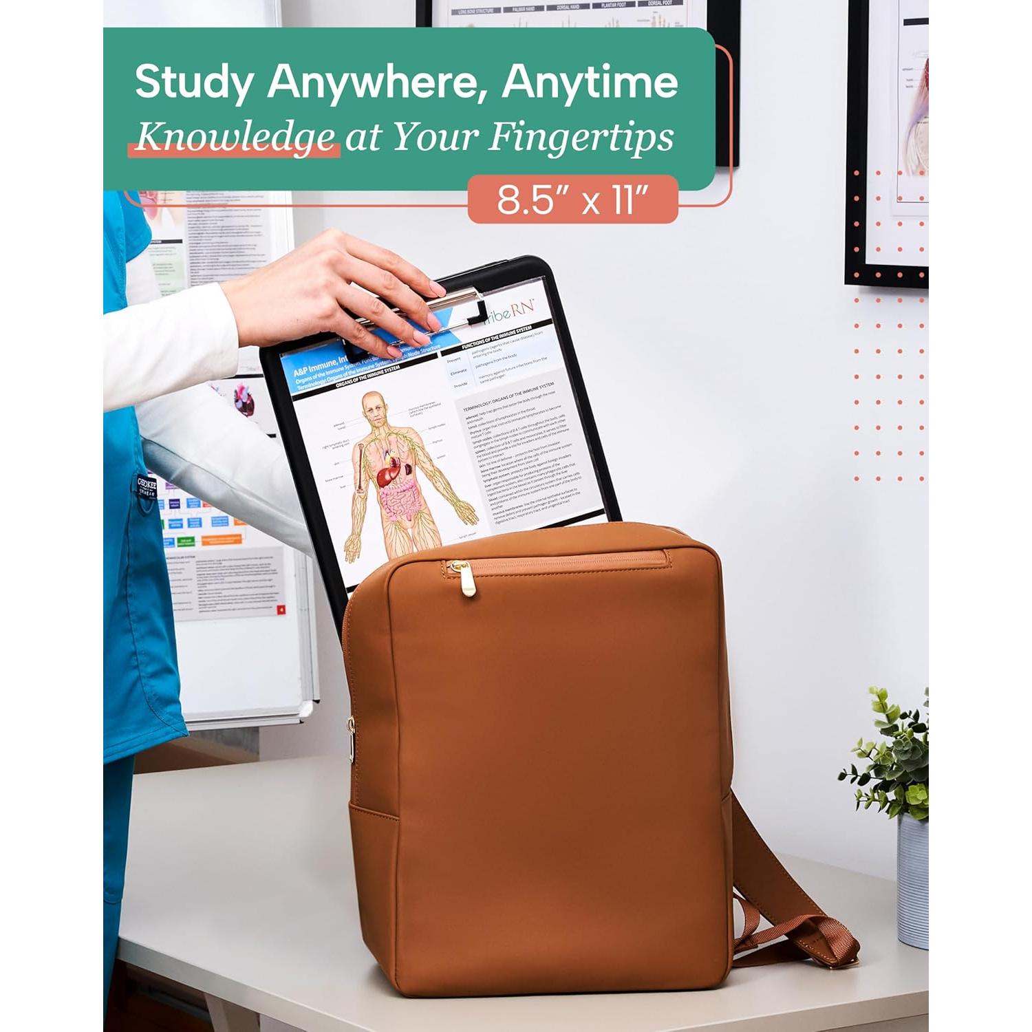 Guías de Estudio de Anatomía TribeRN - 10 Guías Laminadas