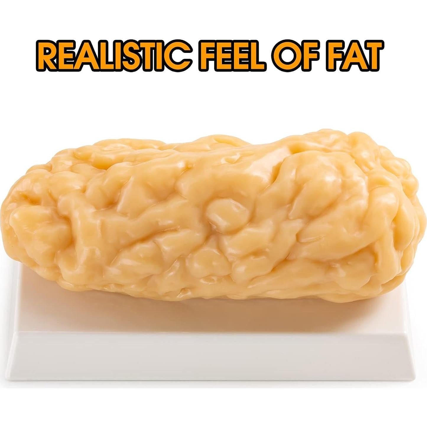 Modelo de Grasa Corporal Humana Ultrassist 1.13 kg para Estudiantes